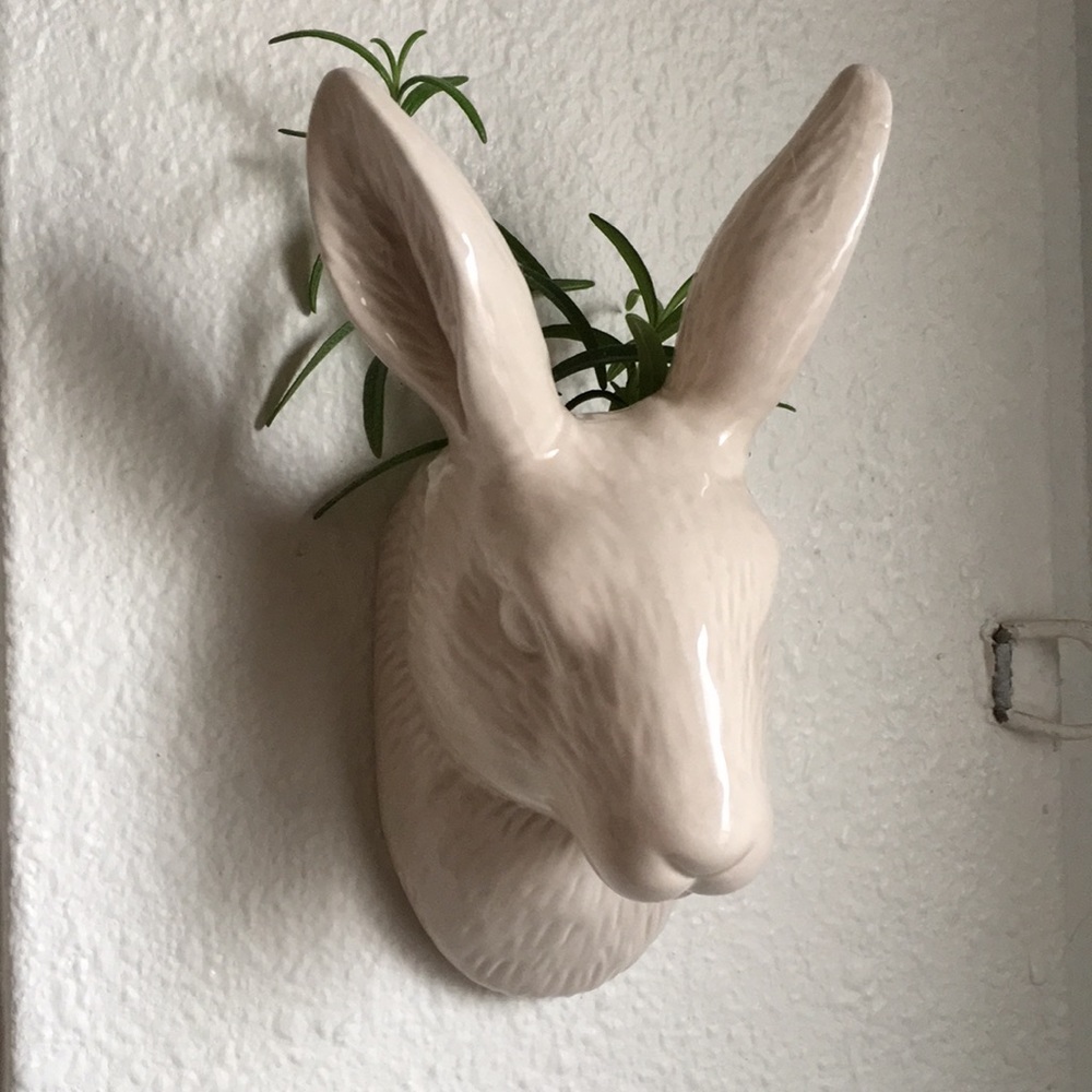 Bunny Planter! With Rosemary Herb or Succulent.